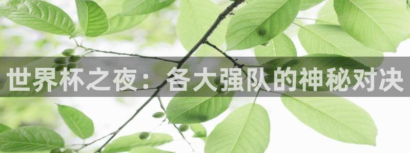 世界杯直播网站:世界杯之夜:各大强队的神秘对决