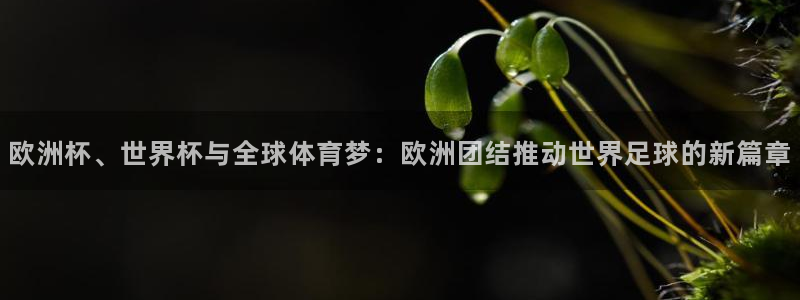 2026年世界杯赛程:欧洲杯、世界杯与全球体育梦:欧洲团结推动世界足球的新篇章