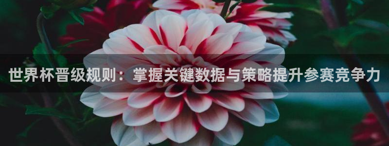 2026年男足世界杯:世界杯晋级规则:掌握关键数据与策略提升参赛竞争力