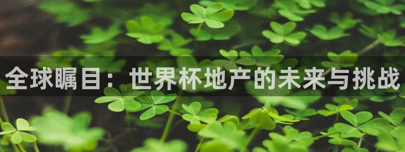 预选赛世界杯:全球瞩目:世界杯地产的未来与挑战