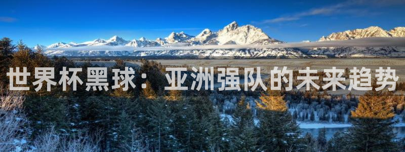 世界杯 中国:世界杯黑球:亚洲强队的未来趋势
